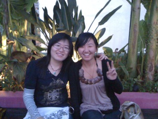 Palmz rooftop